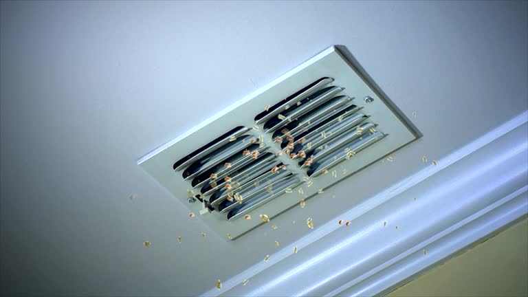 Reliable East Niles, CA Airduct Cleaning Solutions