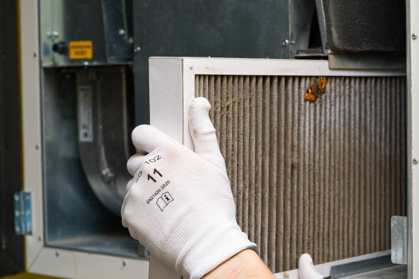 Best Affordable Duct Cleaning Services  in East Niles, CA